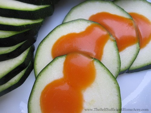 black beauty zucchini